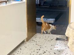 -小半有礼(天河南店)