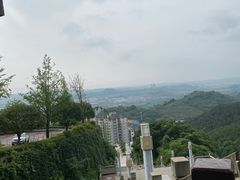 -铁山坪森林公园