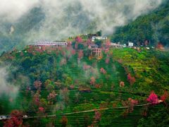 -无量山自然风景保护区