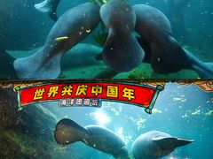 -珠海长隆海洋王国