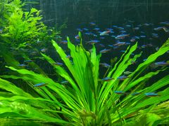 -上海海洋水族馆