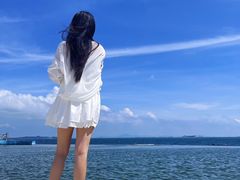 -汕尾风车岛