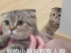 -喜茶(上海泰禾大厦店)