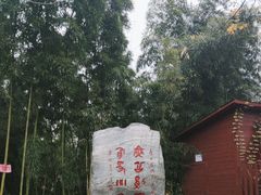 -楚望台遗址公园