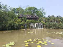 -中国科学院西双版纳热带植物园