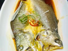 -宝轩渔府·老字号海鲜·正宗津菜(水上店)