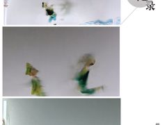 -海天堂构