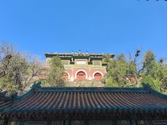 -颐和园