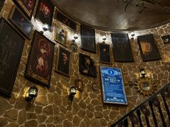 -雪灵魔法世界SHELLY’S TAROT(大良桂畔里店)