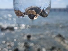 -银沙滩浴场