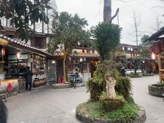 -青城甲(青城山店)
