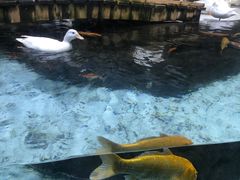 -海合安青岛极地海洋公园
