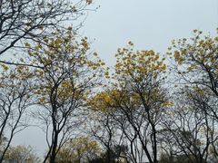-松山湖风景区松湖烟雨