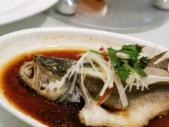 -文杏酒楼(一品天下店)