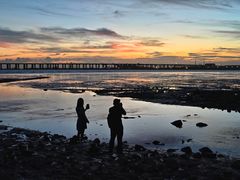 -宝安西湾红树林湿地公园