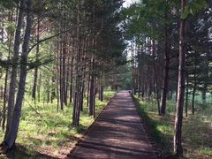 -北极村旅游风景区