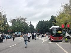 -黄海国家森林公园