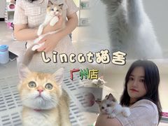 -lincat·猫舍(广州店)