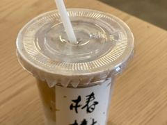 -椿树咖啡