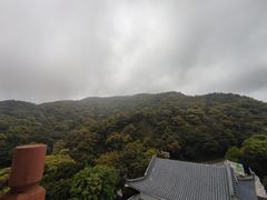-梧桐山风景名胜区