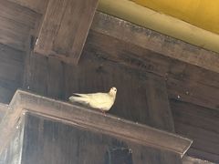 -东部华侨城