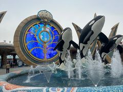 -上海海昌海洋公园