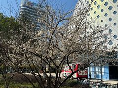 -宝龙城(杭州滨江店)