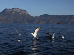 -丽江泸沽湖景区