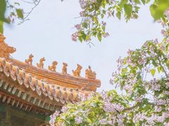 -故宫博物院(故宫)