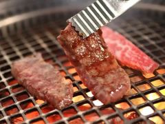 -额尔敦牛厨师铜板烧