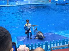 -海合安成都极地海洋公园