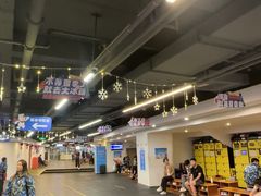 -世界之窗阿尔卑斯冰雪世界