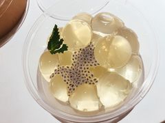 -GOGO Plate(成都太古里店)