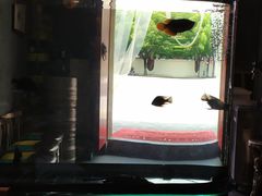 -臻馆小龙虾