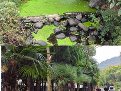 -白马涧龙池景区