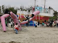 -九龙湖公园