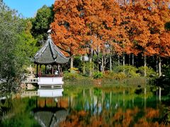 -上海醉白池公园