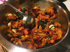 土鸡-九道菜有鸡鱼头(石鼓路店)