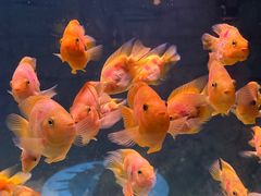 -常州海昌海洋探索馆