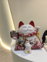 -VE专注问题肌&科学美肤中心