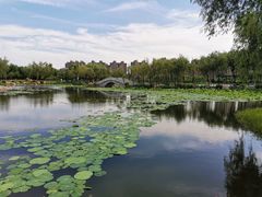 -长春市南湖公园