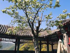 -妙峰山风景名胜区