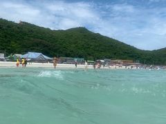 -月光岛
