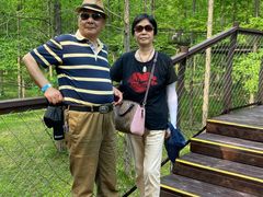 -黄海国家森林公园