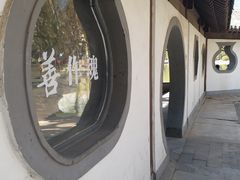 -团结湖公园