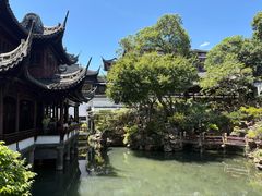 -绿波廊(豫园店)