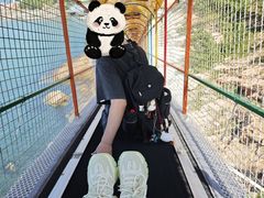 -西霞口神雕山野生动物世界