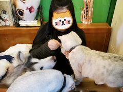 -李小姐の猫咖啡馆(五角场店)
