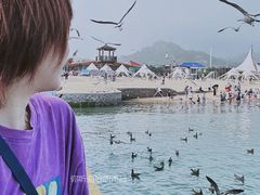 -海驴岛(荣成市)