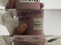 -一只酸奶牛(兰州中心店)